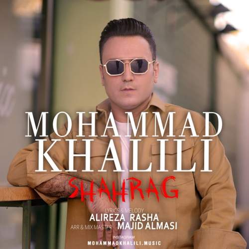 محمد خلیلی شاهرگ