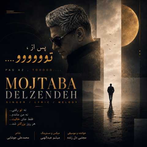 مجتبی دل زنده پس از تو
